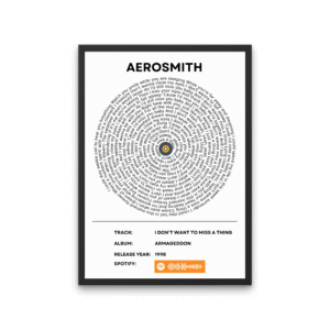 Aerosmith - I dont want to miss a thing