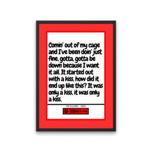 The Killers Mr Brightside